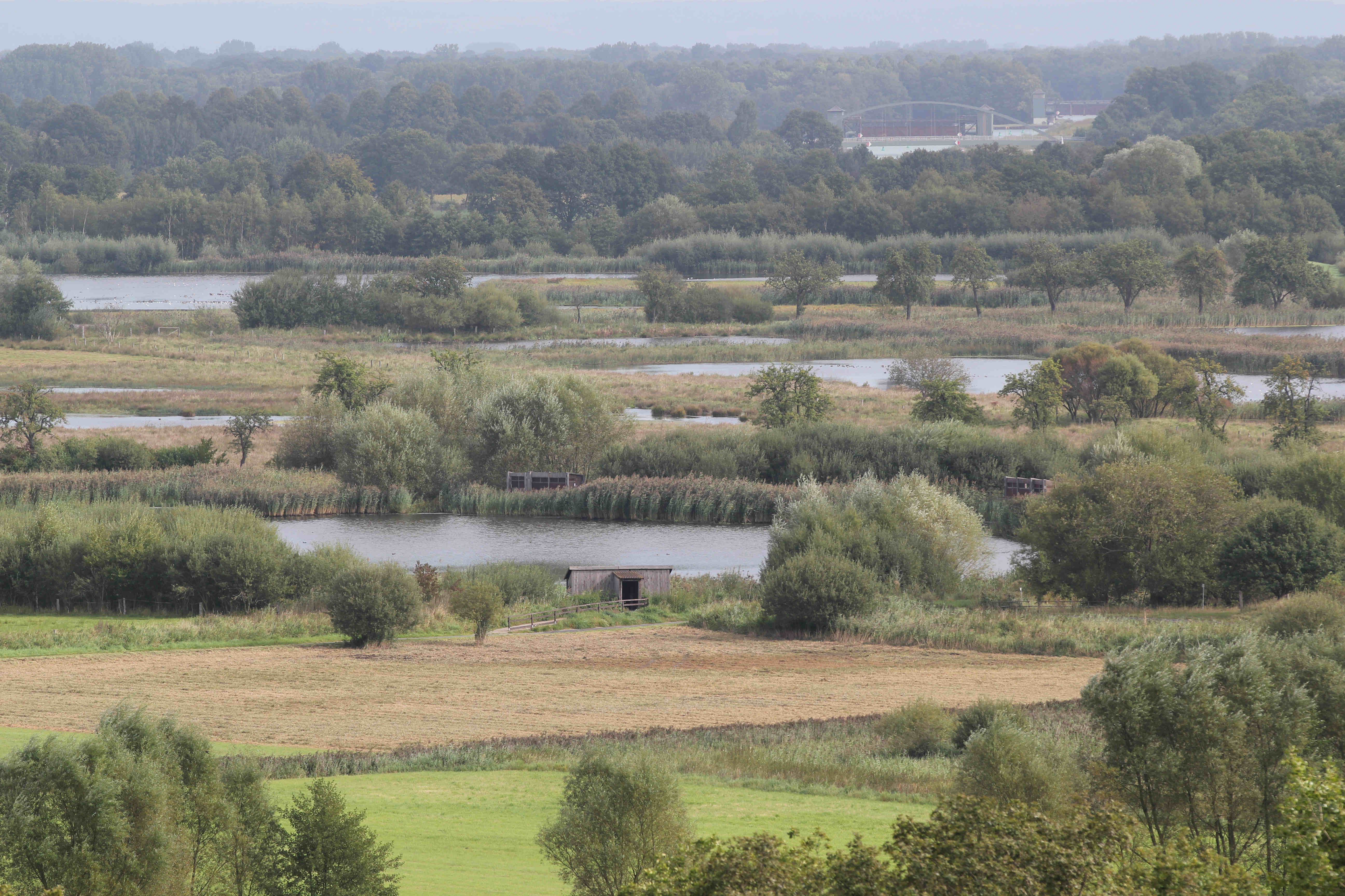 Stiftung Wald, Wild und Flur in Europa fördert Biologische Station Rieselfelder Münster e.V. Foto: Biologische Station Rieselfelder Münster.
