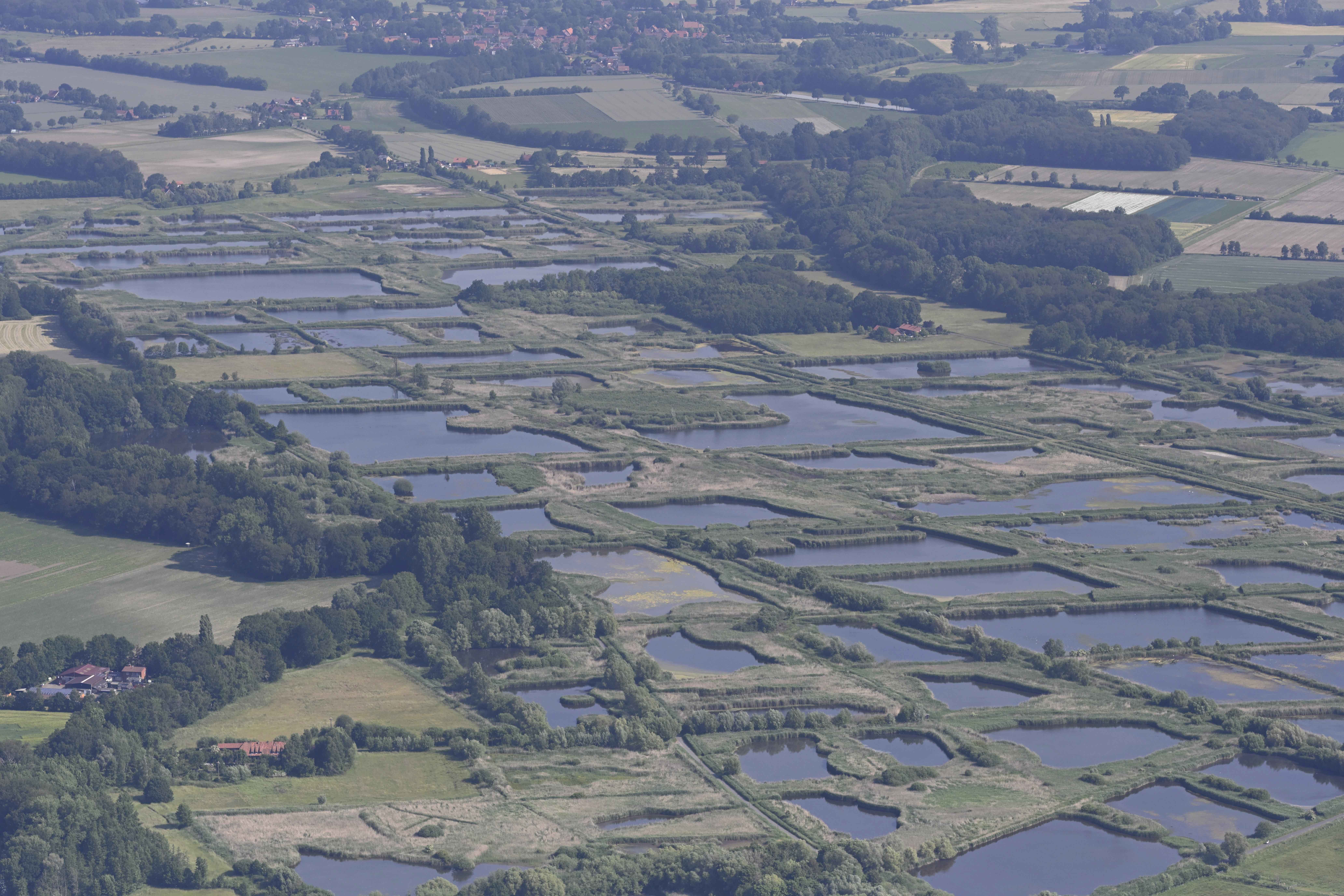 Stiftung Wald, Wild und Flur in Europa fördert Biologische Station Rieselfelder Münster. Foto: Thomas Kepp.